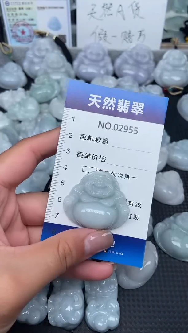 颈饰未镶嵌翡翠纯天然A货翡翠2955