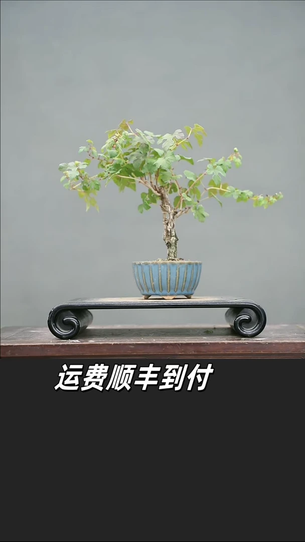 一****活39