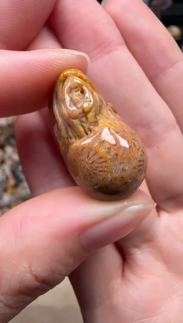 颈饰未镶嵌硅化珊瑚（珊瑚玉）362