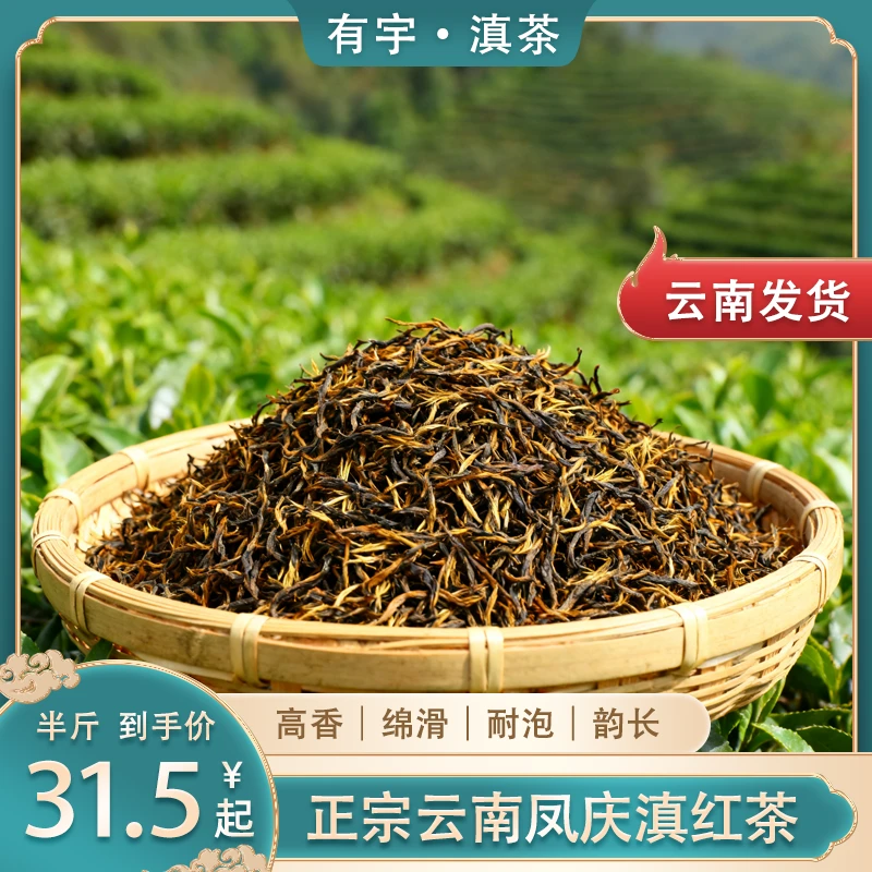 有宇2025年春茶云南凤庆荒野古树滇红茶金毫糯香红茶古树红茶金丝