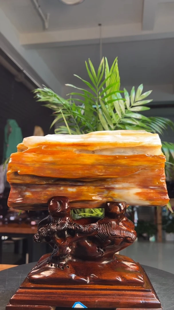 未镶嵌硅化玉（树化玉）珠宝奇石3115