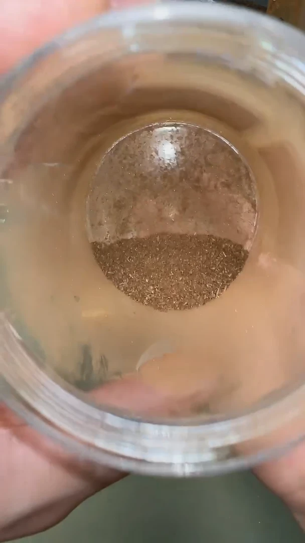 沉香文莱黑棋锯沫1g装