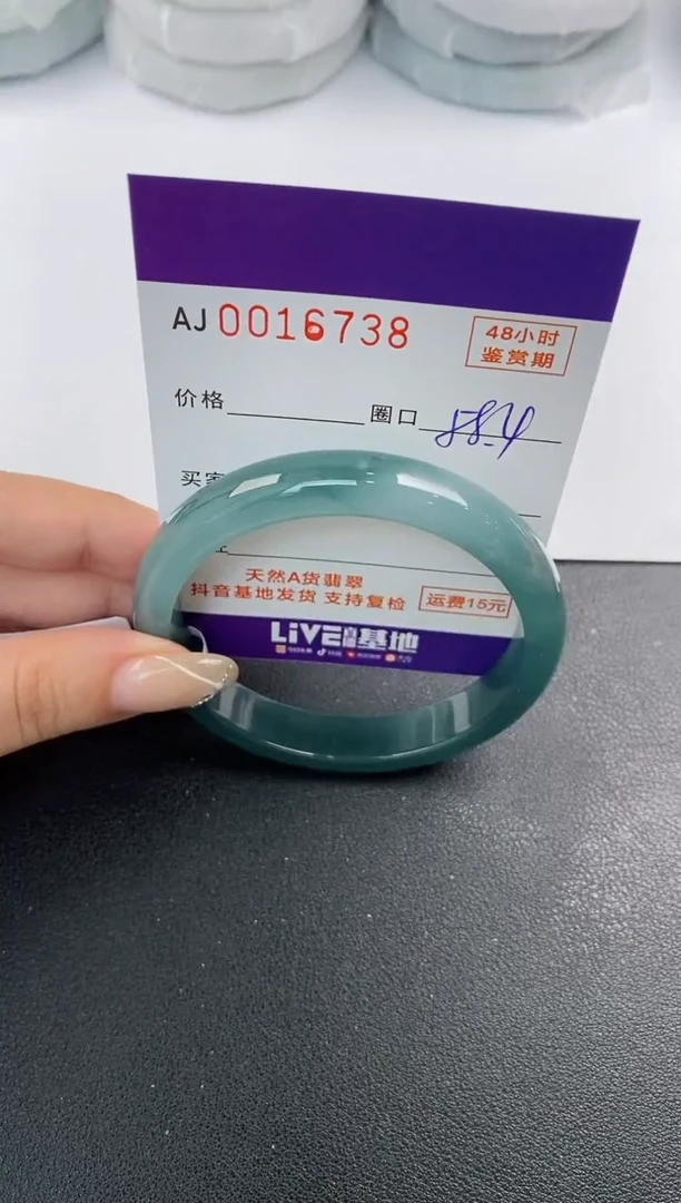 未镶嵌手镯翡翠天然A货翡翠