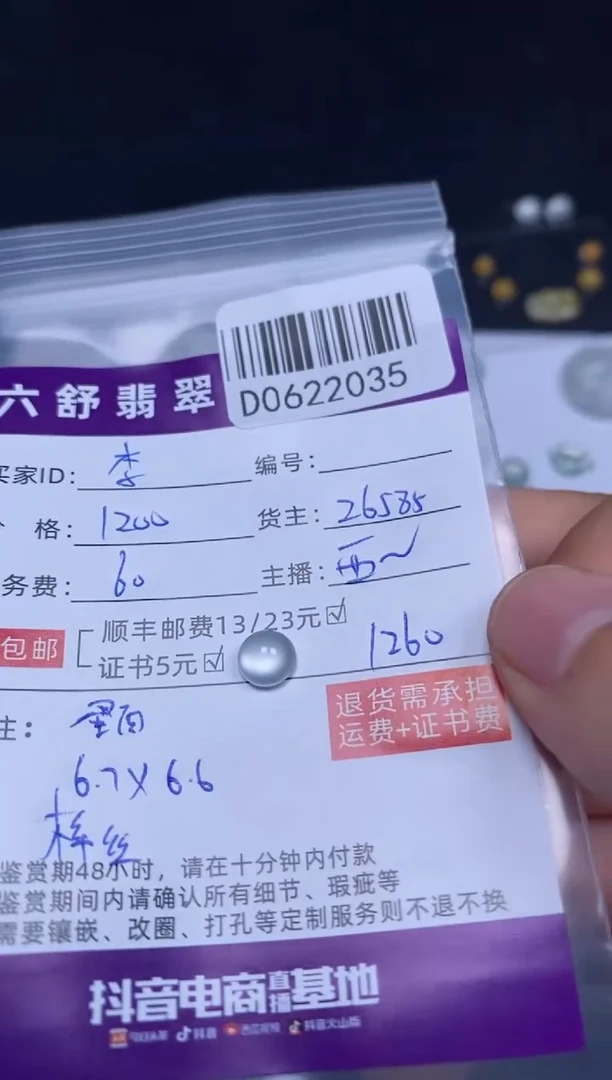 翡翠未镶嵌吊坠(不含链)李*花D0622035