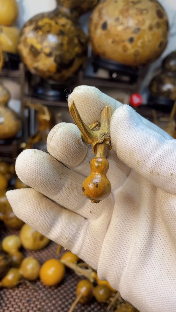 【闪购商品】葫芦葫芦葫芦葫芦