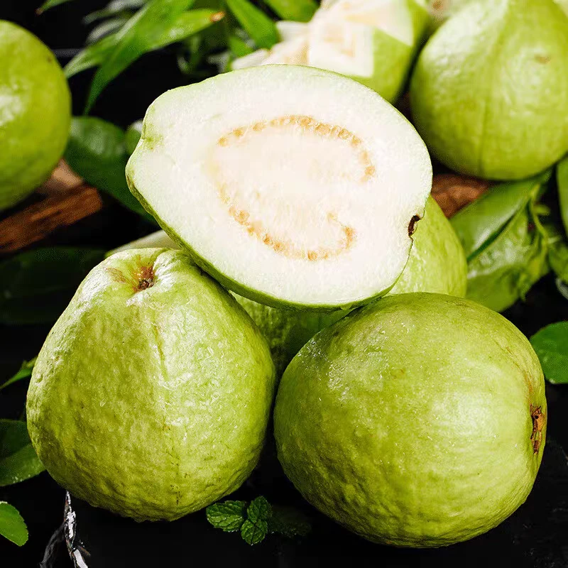 白心芭乐番石榴新鲜水果浙江省