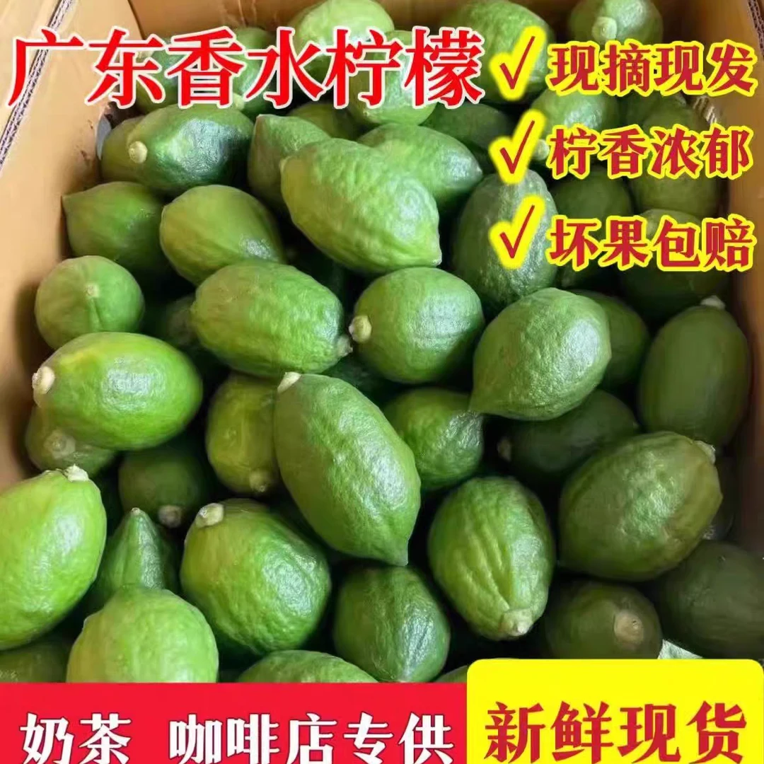 广东香水柠檬无籽新鲜水果奶茶店专用泡水清香青柠檬