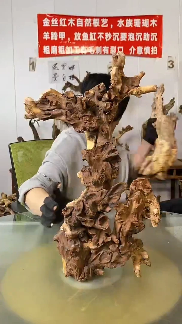 香榧木有**失金丝红木 羊蹄甲