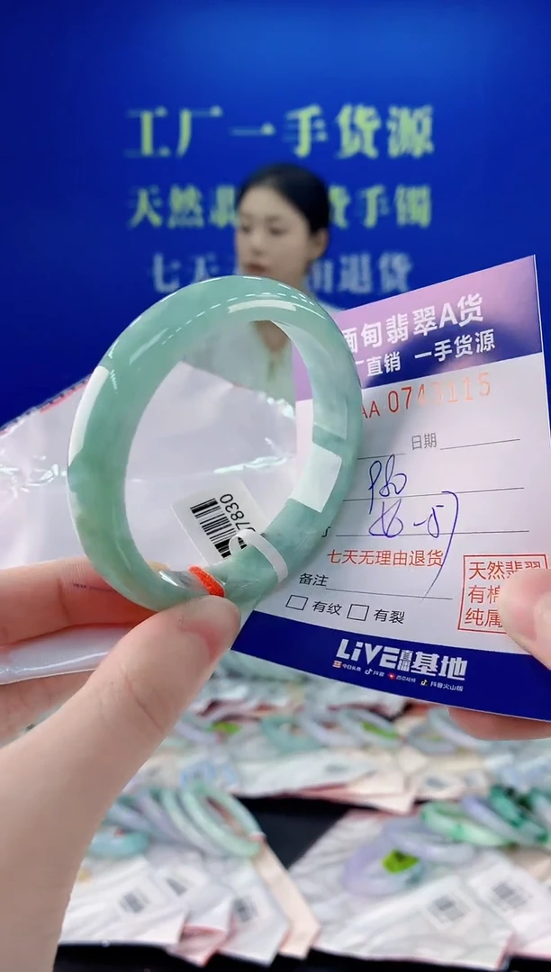 未镶嵌手镯翡翠15