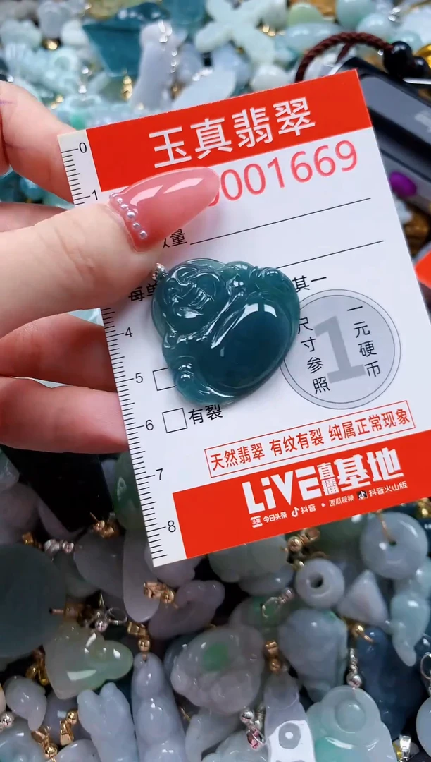 翡翠未镶嵌吊坠(不含链)1669
