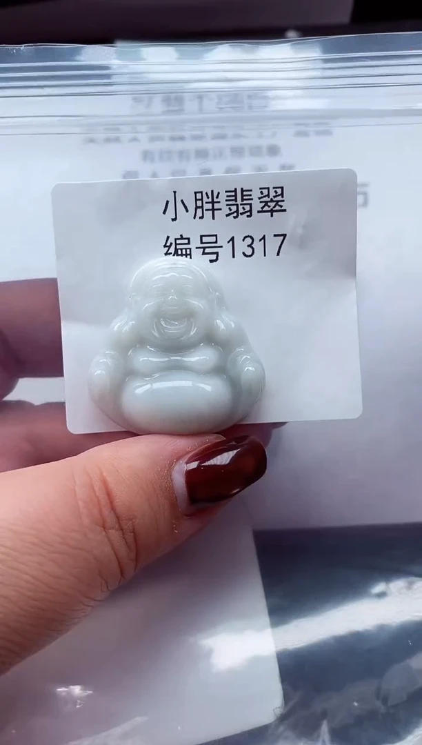 颈饰未镶嵌翡翠缅甸天然A货翡翠1317