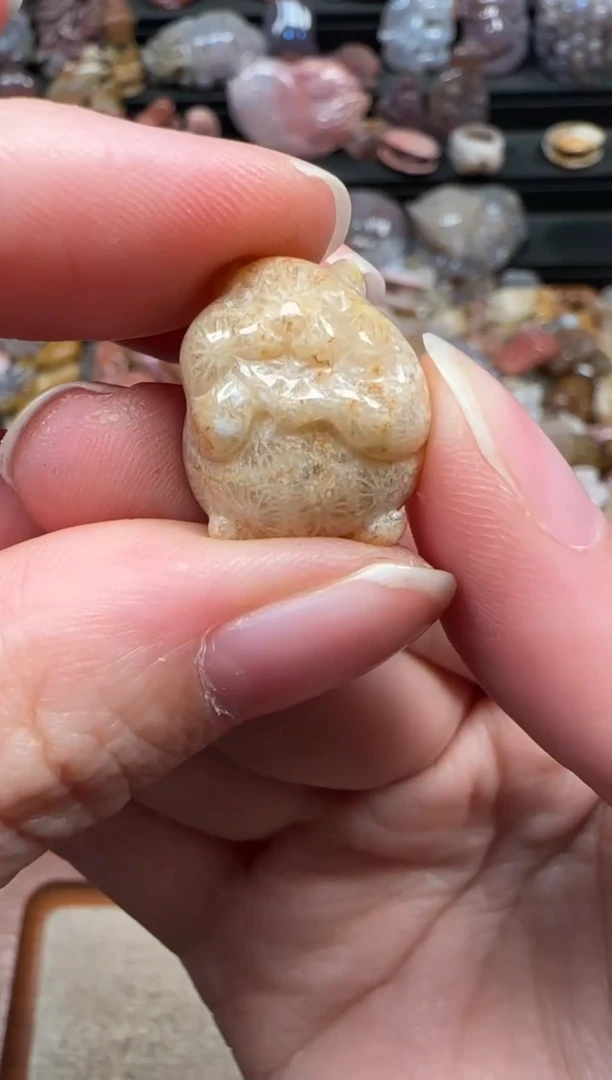 颈饰未镶嵌硅化珊瑚（珊瑚玉）318