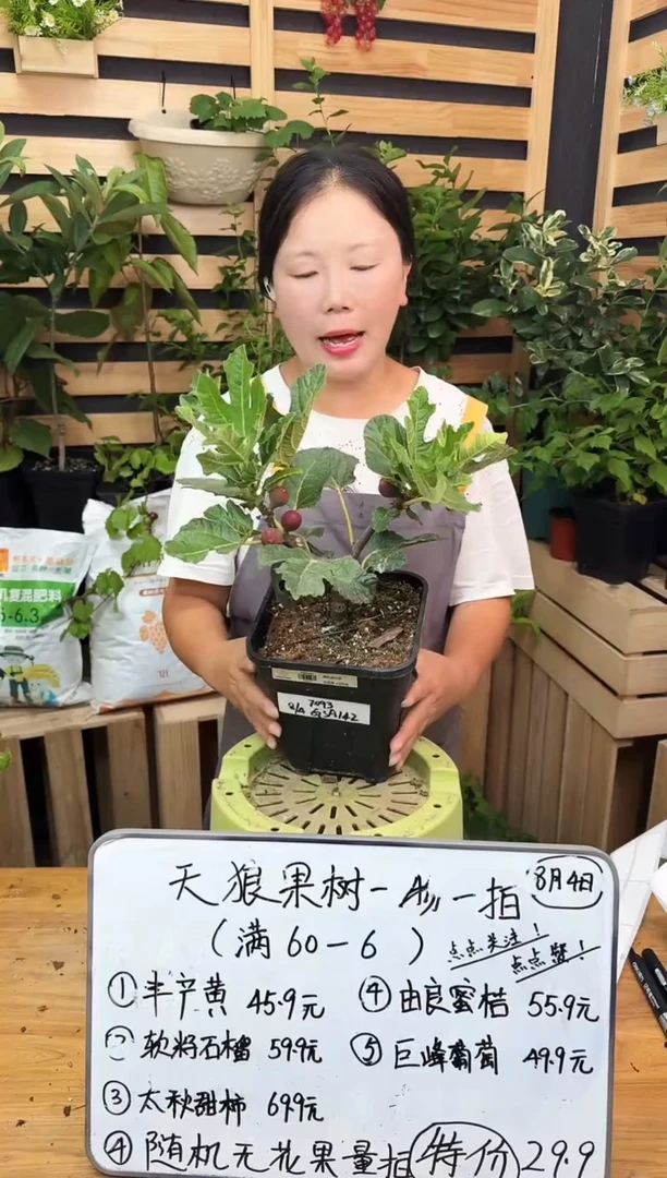 子*一物一拍 紫色波尔多 2.8L GSA142