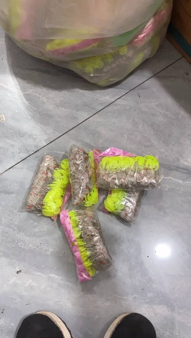 7+1透明太空豆三包