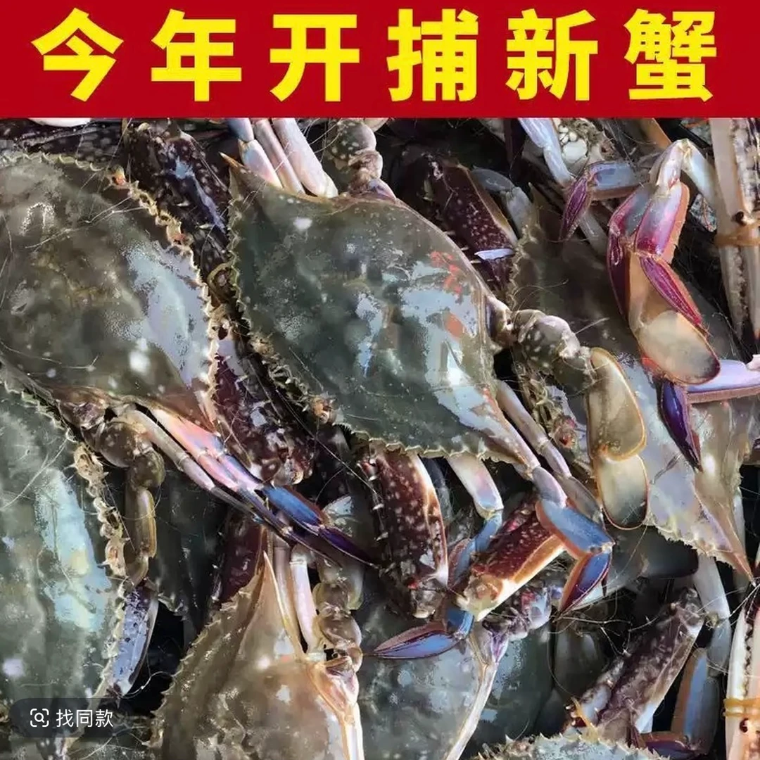 断氧非【冻蟹】东港海捕梭子蟹 每只2-4两 净重3斤 （介意勿拍）