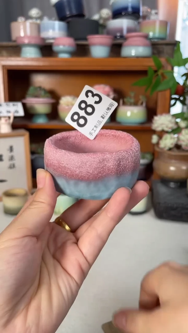 瓷片883知木小芳花盆