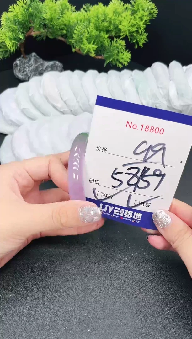 未镶嵌手镯翡翠18800