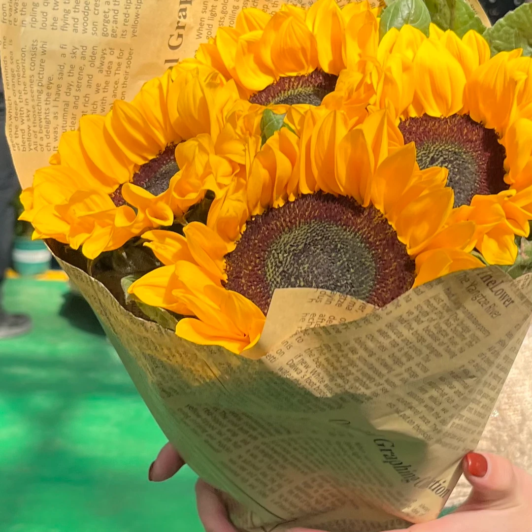 【特殊鲜花】向日葵