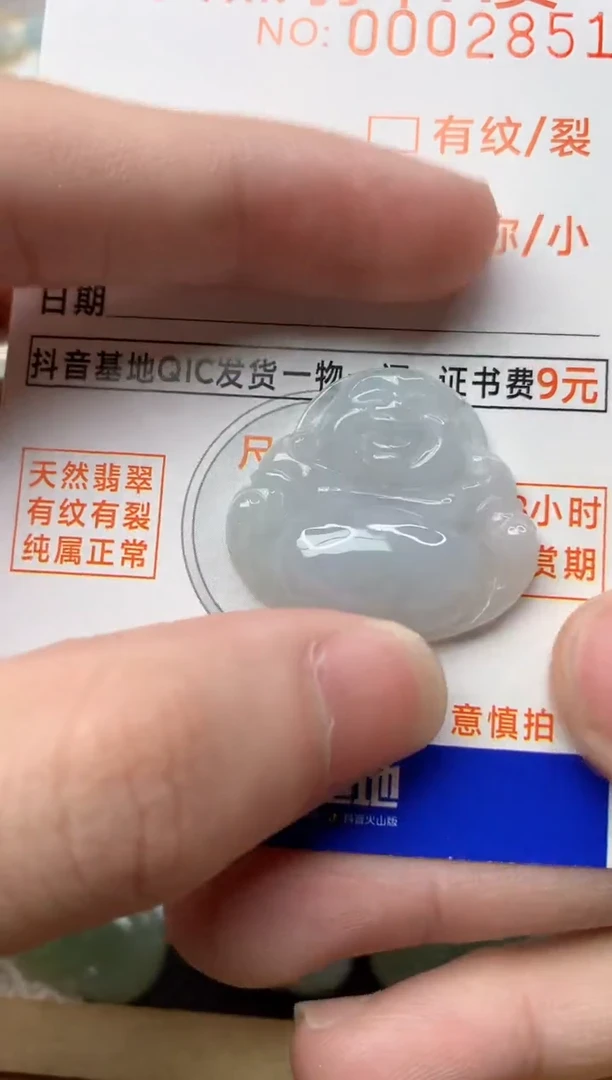 【闪购商品】翡翠颈饰未镶嵌1............