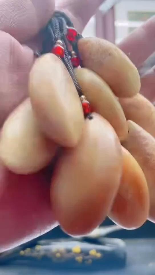 【闪购商品】016香榧木质手串艺术品