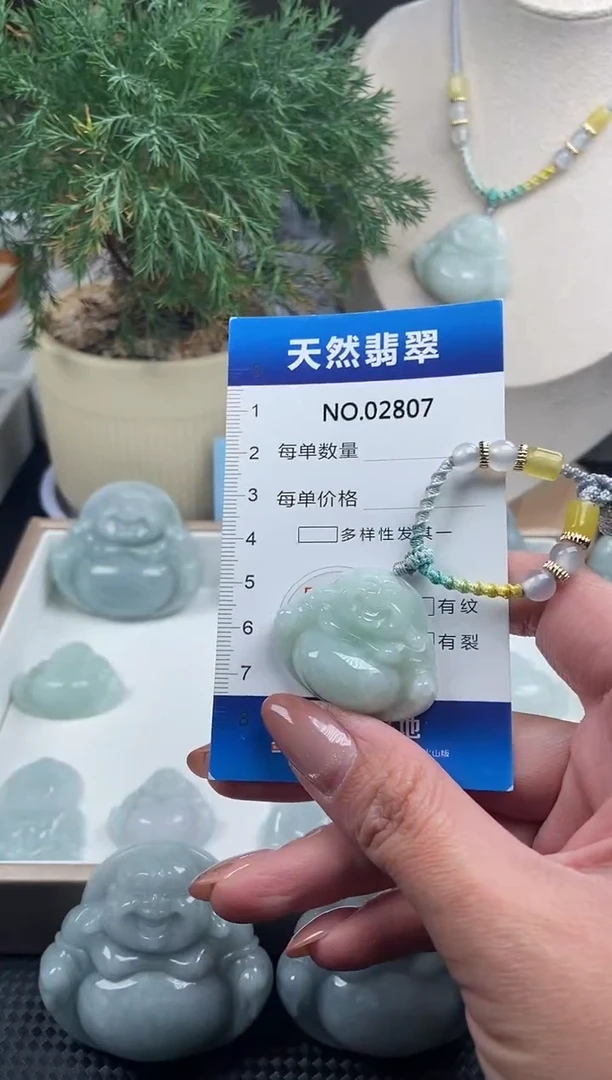 颈饰未镶嵌翡翠纯天然A货翡翠2807