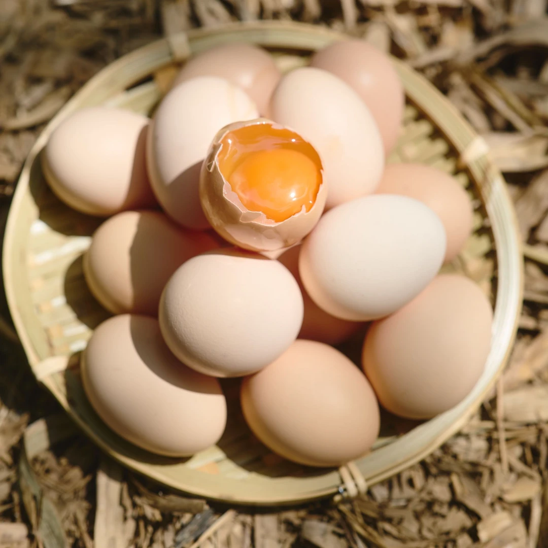 农家土鸡蛋正宗散养新鲜土鸡蛋笨鸡蛋健康营养无抗自然散养鸡蛋