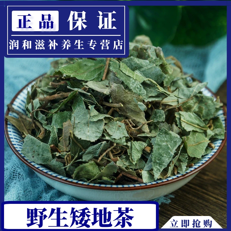 不出林矮地茶野生叶底珠叶下红干品紫干货500g-1000g泡水另售三七