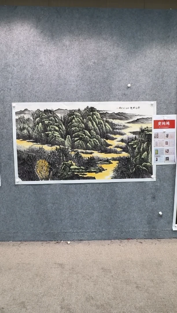 【闪购商品】国画pmw不二轩旗舰店国画SCH14