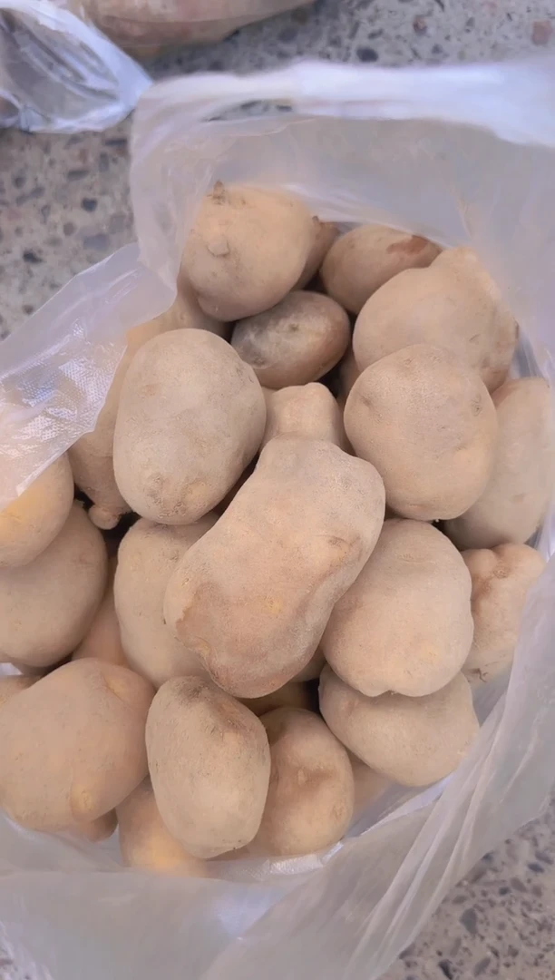 中国大陆土豆白心
