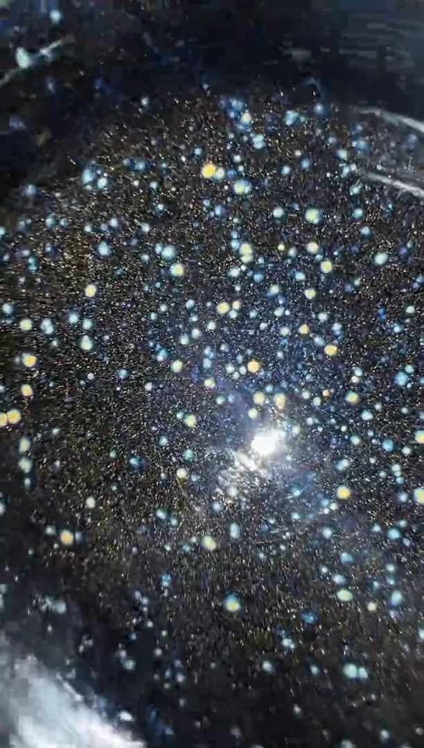茶盏赵丽美高端收藏12