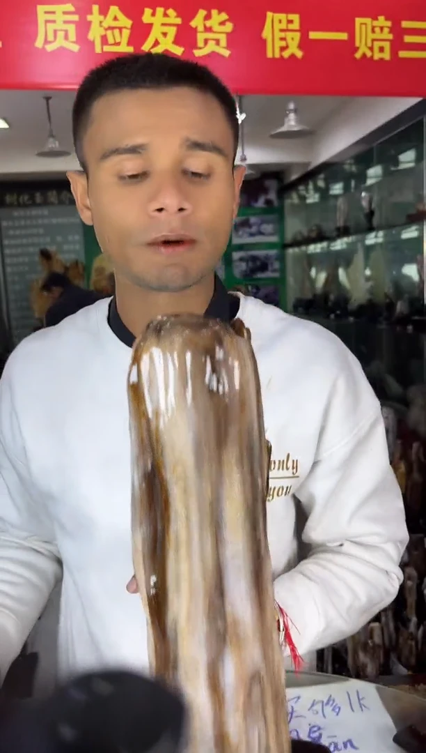 未镶嵌珠宝奇石硅化玉缅甸天然树化玉精品居家摆件