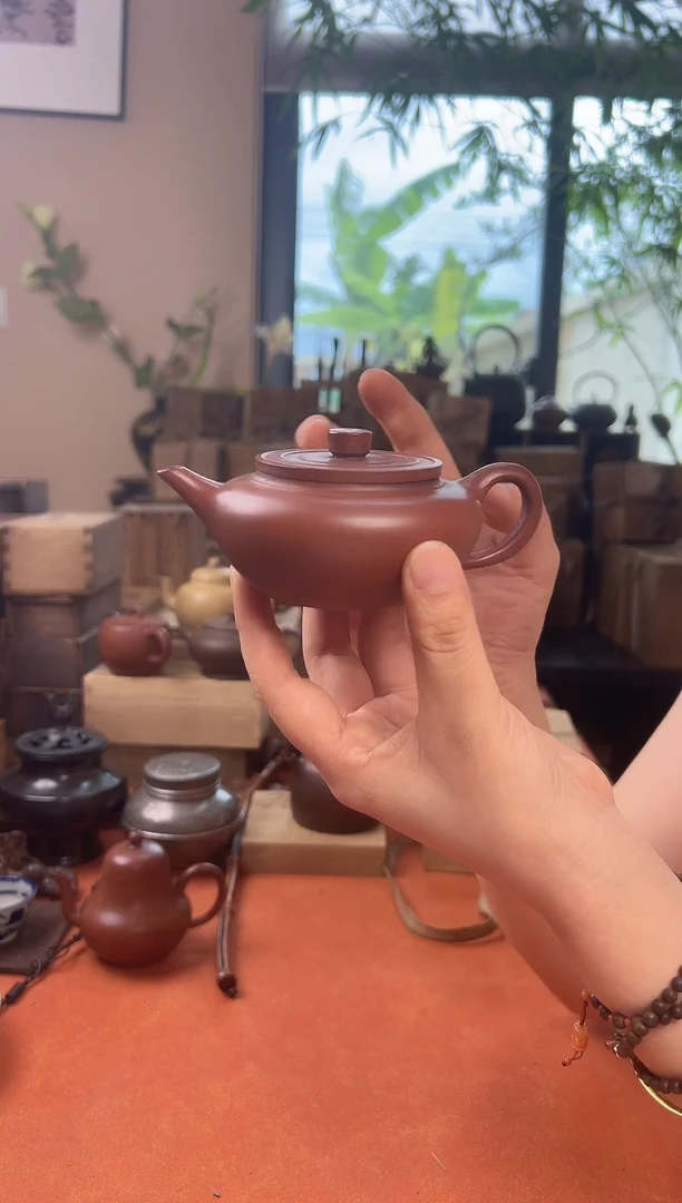 小**菜一个紫砂哈哈哈哈