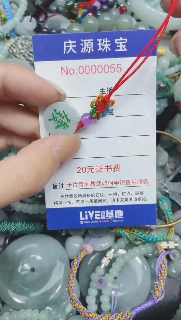 翡翠未镶嵌颈饰256