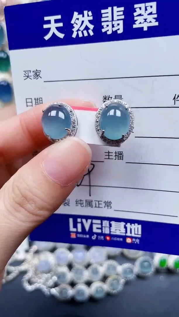 银S925镶嵌翡翠耳饰769