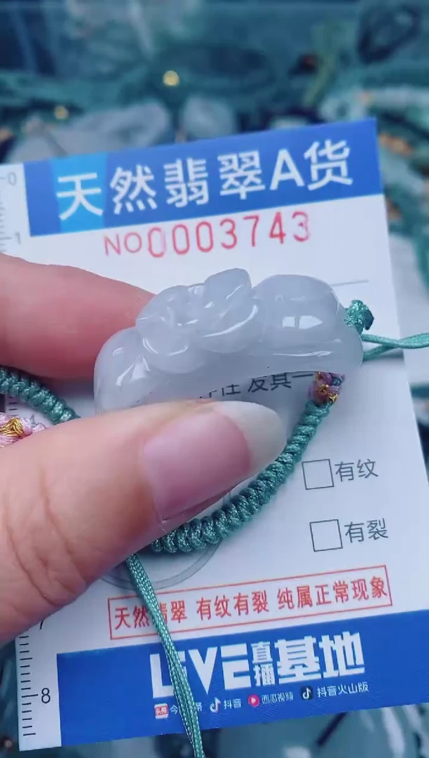 颈饰未镶嵌翡翠00003743