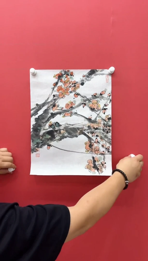 国画8.8 cyt国画（）1.5p