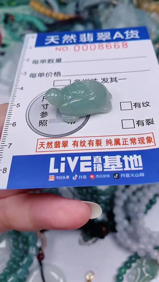 翡翠未镶嵌颈饰00008668