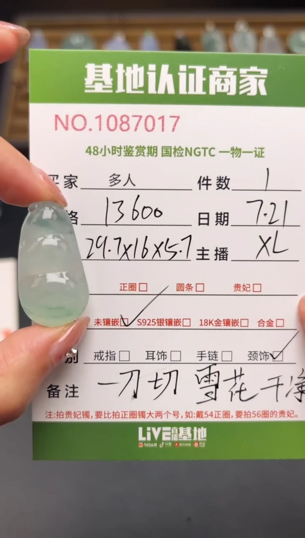 翡翠未镶嵌颈饰多人