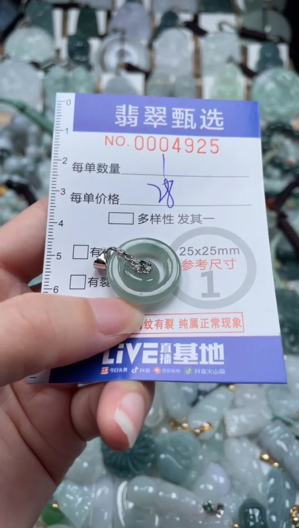 翡翠未镶嵌颈饰00..4925