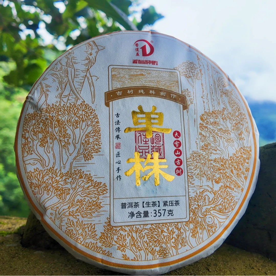 珍藏款普洱茶｜永德大雪山核心区 2018年单株生茶・500 年古树混采