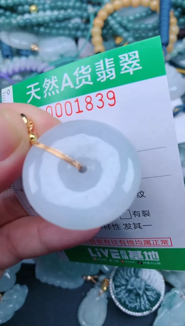 翡翠未镶嵌颈饰.0001839