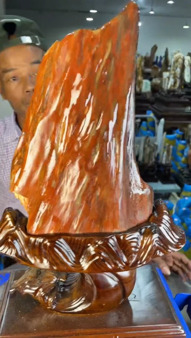 未镶嵌摆件硅化玉33