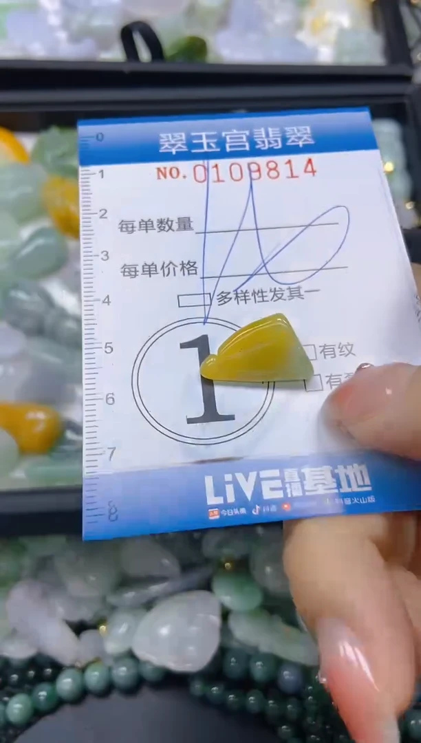 翡翠未镶嵌颈饰闪购0109814