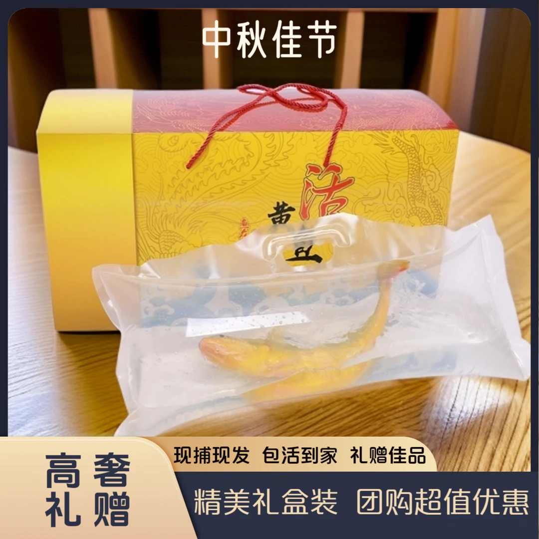 浙江深海活大黄鱼新鲜黄花鱼现捕现发宴请佳品高端礼盒组合装套装