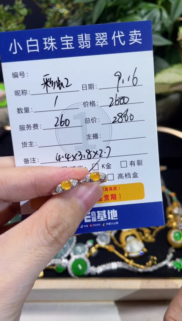 18K金镶嵌翡翠耳饰彩**?耳饰
