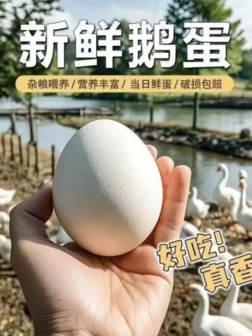 水库边土鹅蛋现捡现发80-100克 12枚整箱