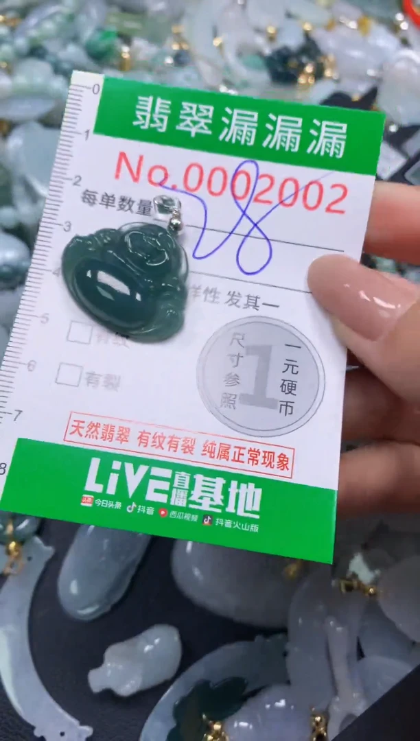 吊坠(不含链)未镶嵌翡翠2002