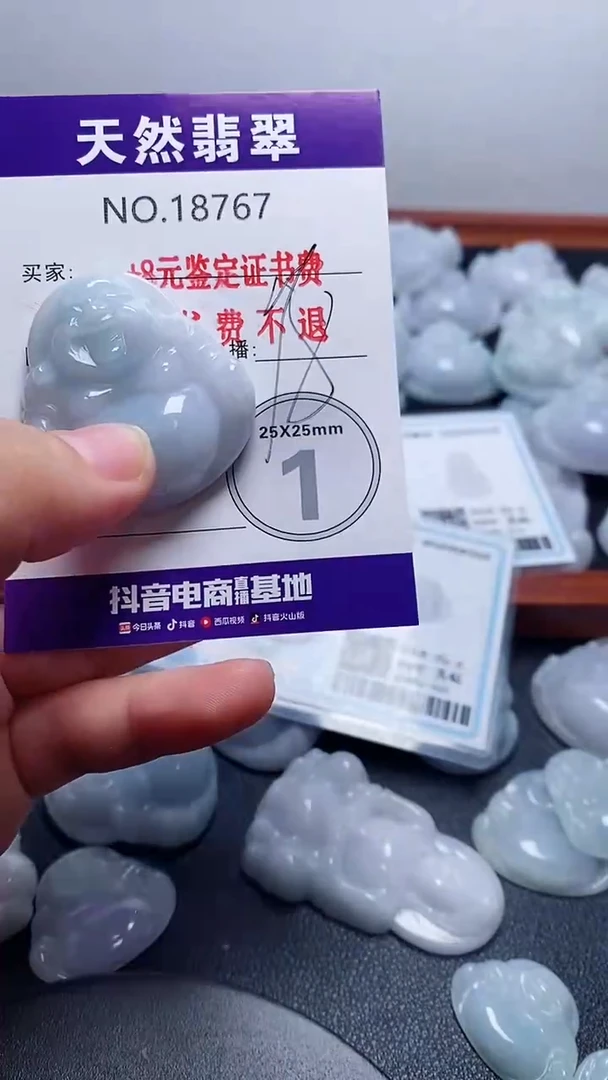 翡翠未镶嵌颈饰767