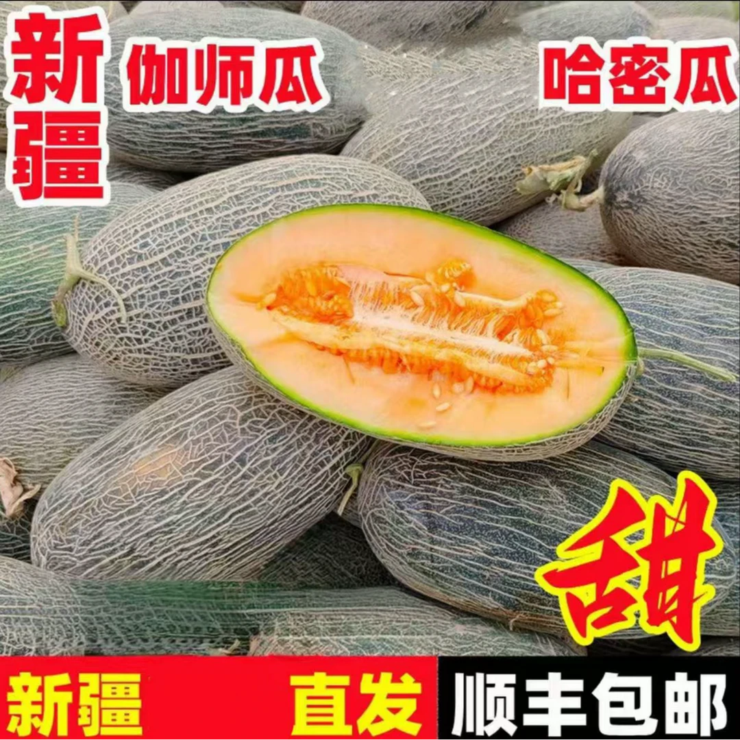【顺丰京东发货】正宗伽师瓜哈密瓜之王到手净重7.5-9.5斤哈密瓜X