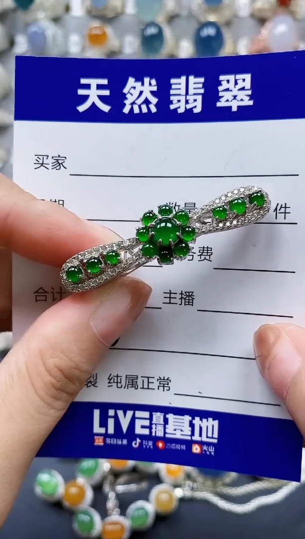 翡翠银S925镶嵌颈饰0185